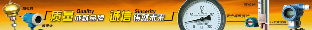 上海自动化仪表股份有限公司