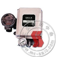 EP1000(ZPD-2000),电-气阀门定位器